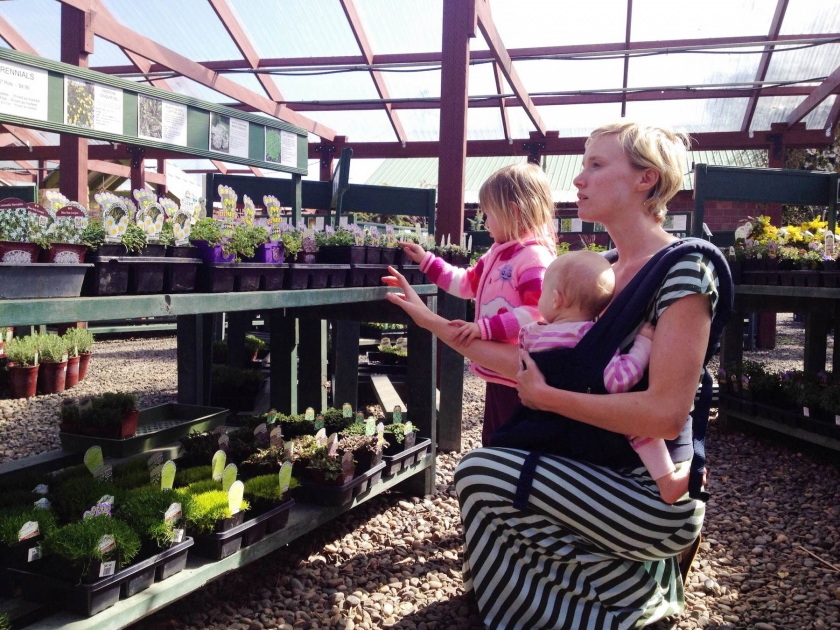 GARDEN NURSERY