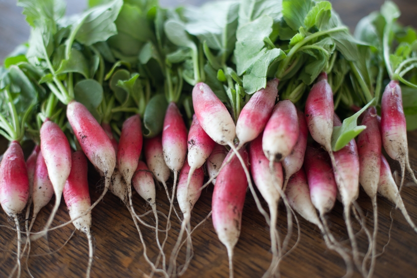 RADISH BUTTER AND SALT TARTINE