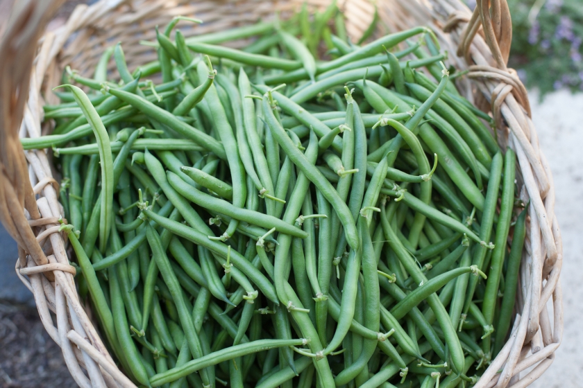 CHARRED GREEN BEANS WITH SESAME MISO DRESSING