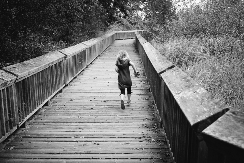 nisqually wetlands