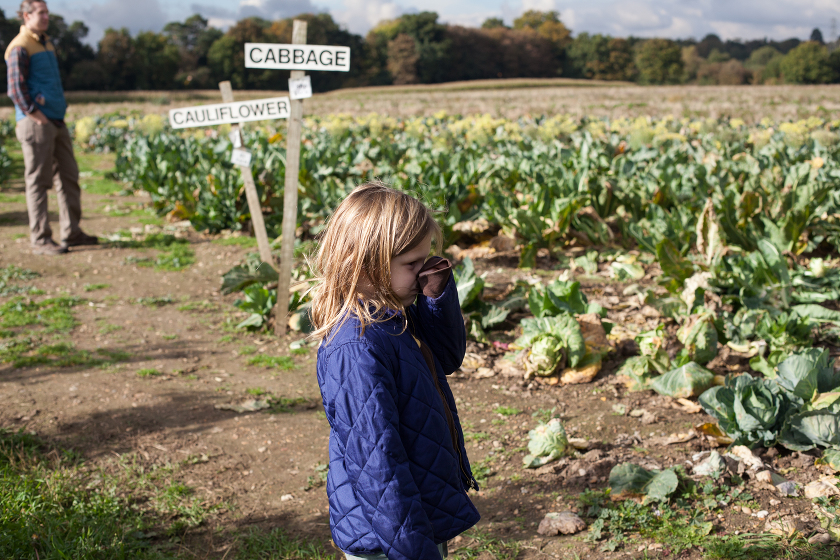 LIVING IN ENGLAND FARM SHOPS