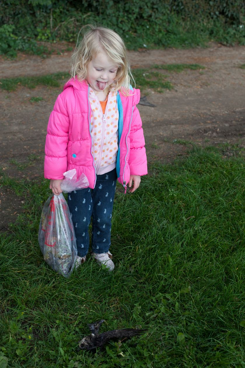 LIVING IN ENGLAND FARM SHOPS