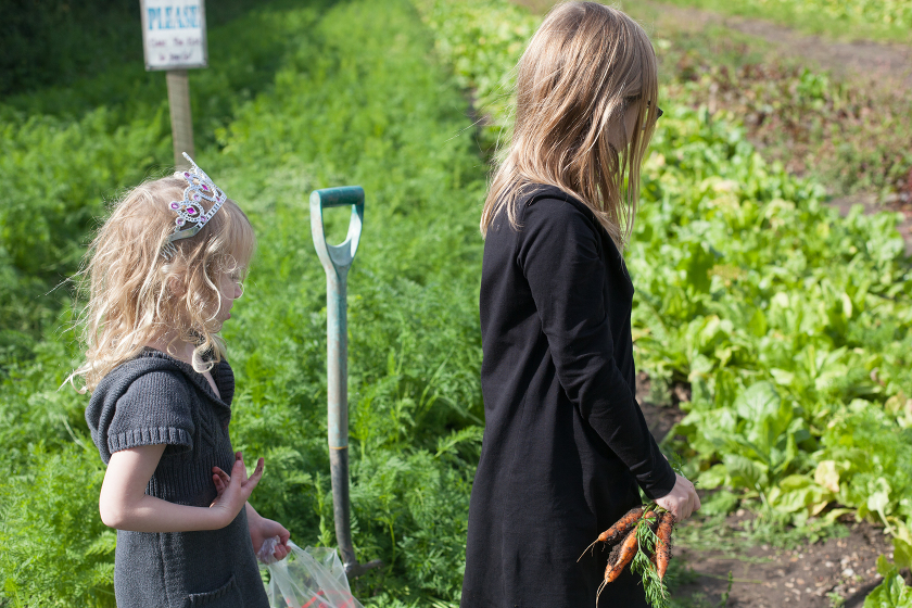 farm shop living in england