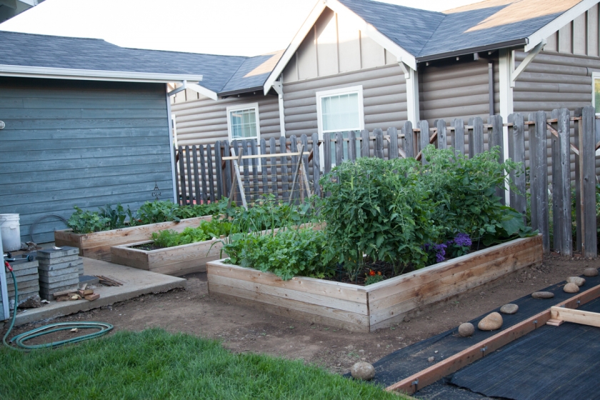 garden raised beds