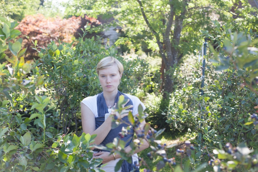 blueberry picking