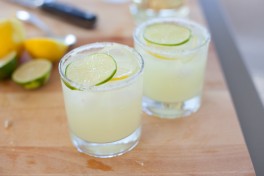 fresh squeezed margarita recipe