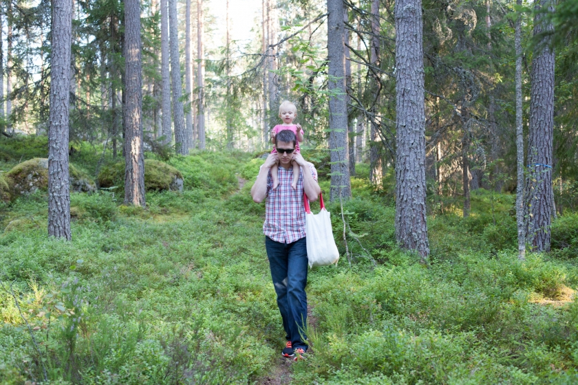 dala jarna sweden