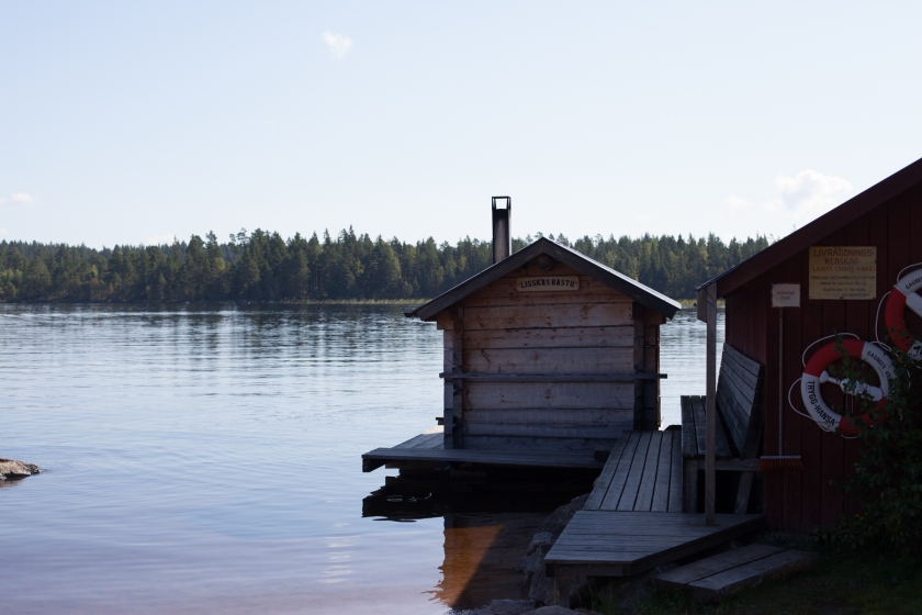 dala floda vardhus sweden