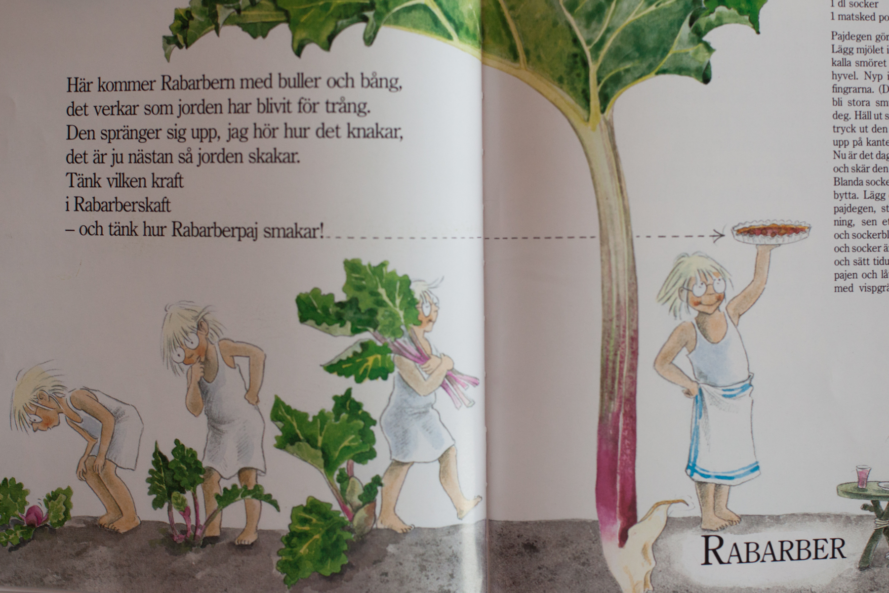 Swedish Children's Book Majas Lilla Gröna