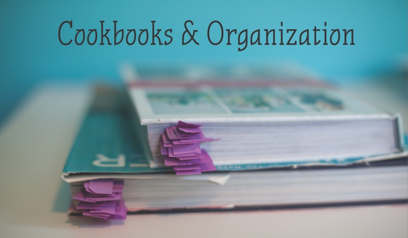Menu Planning Grocery Shopping Tips On a Budget
