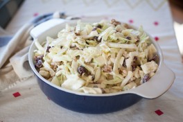 Fennel Coleslaw with Green Apple, Dried Cranberries and Walnuts