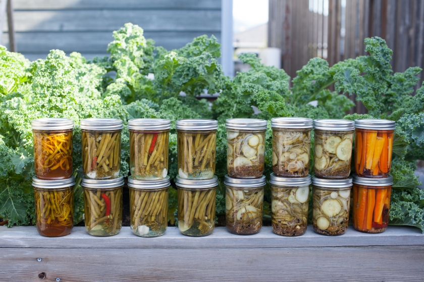 pickling canning basics