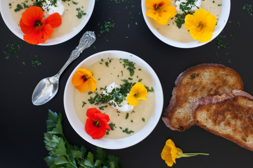 LEEK AND POTATO SOUP