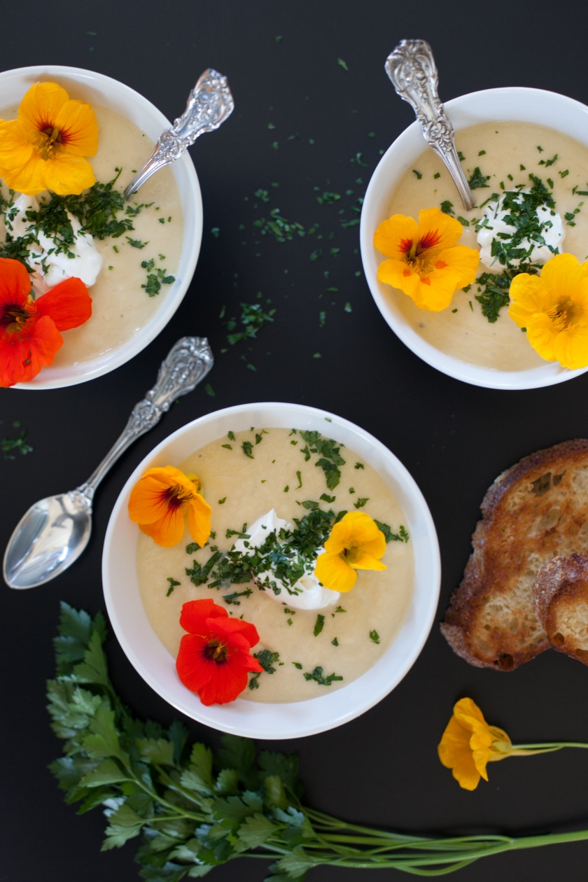 LEEK AND POTATO SOUP