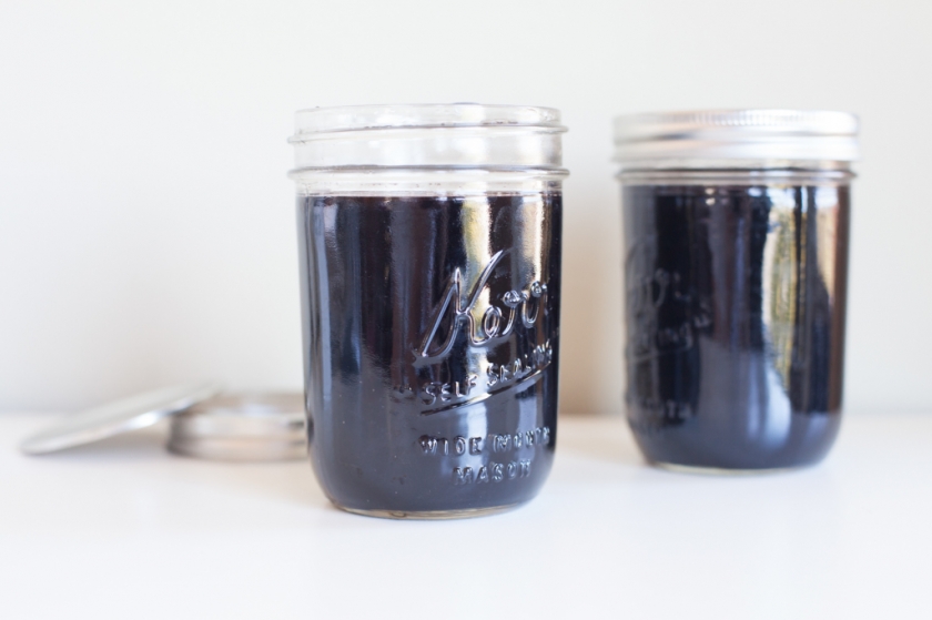 ELDERBERRY EXTRACT