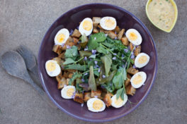 SALAD WITH HARD BOILED EGGS, GARLIC CROUTONS, FRIED CAPERS, AND BREADCRUMB DRESSING