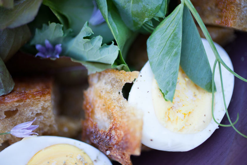 SALAD WITH HARD BOILED EGGS, GARLIC CROUTONS, FRIED CAPERS, AND BREADCRUMB DRESSING