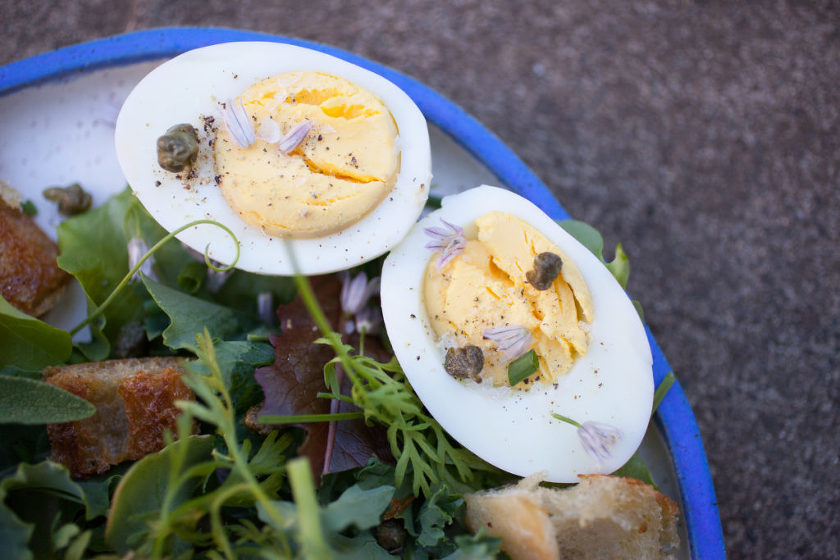 SALAD WITH HARD BOILED EGGS, GARLIC CROUTONS, FRIED CAPERS, AND BREADCRUMB DRESSING