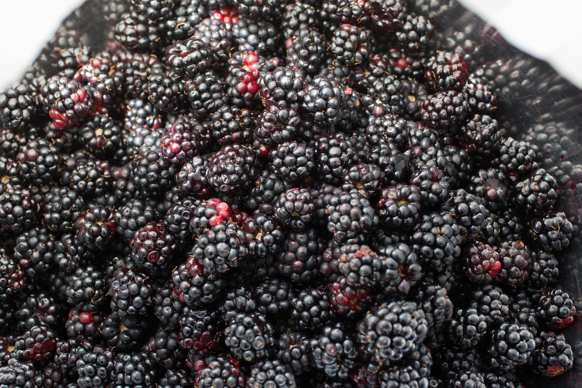 BLACKBERRY AND BLUEBERRY PIE
