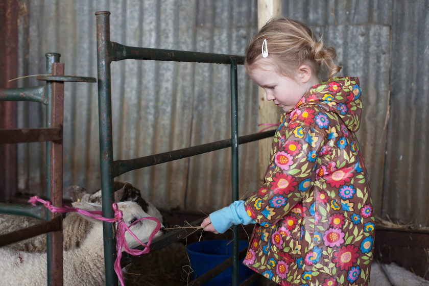 SPRING LAMBING WEEKEND ENGLAND