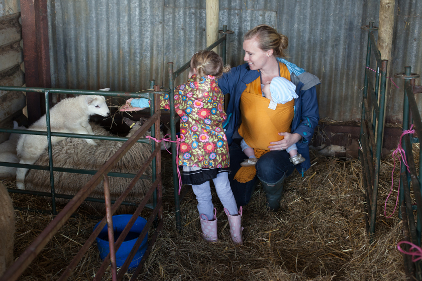 SPRING LAMBING WEEKEND ENGLAND