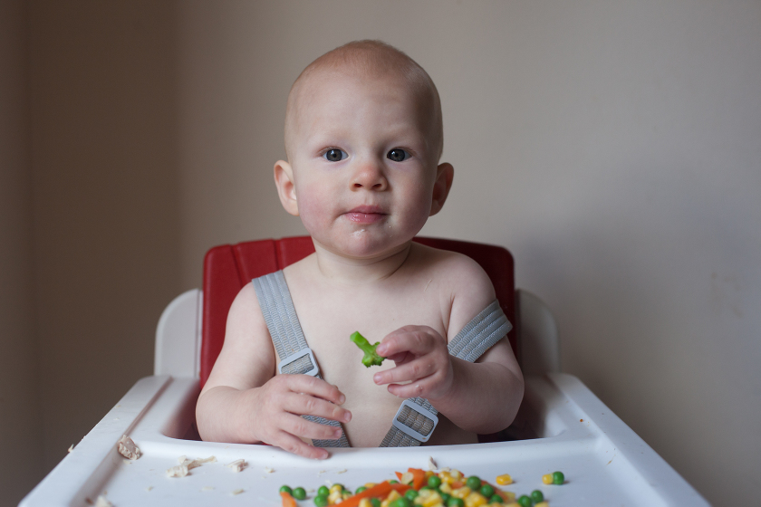 starting solid foods nuna zaaz