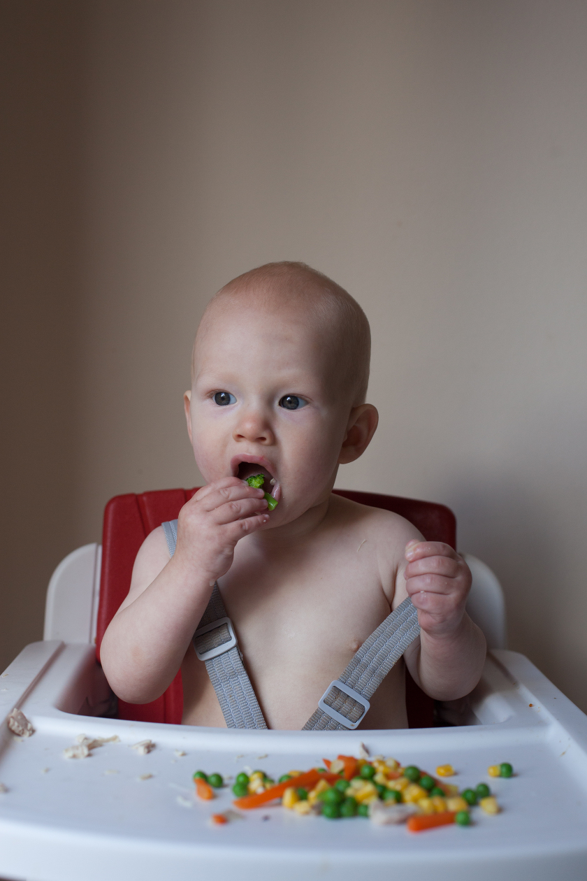 starting solid foods nuna zaaz