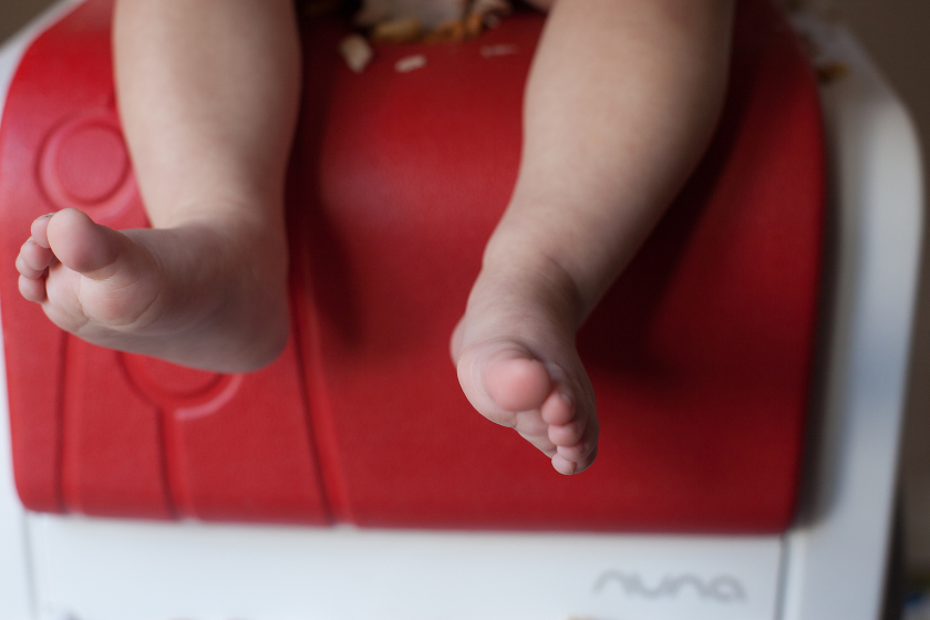 starting solid foods nuna zaaz