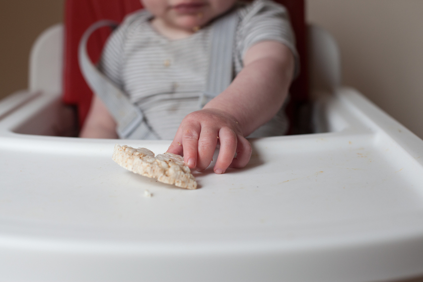 starting solids nuna zaaz