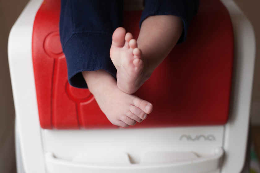 starting solids nuna zaaz