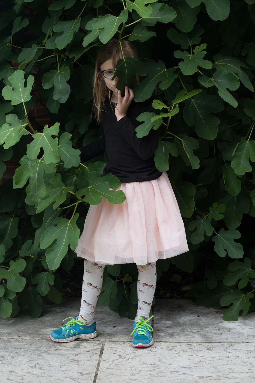 jane austens house museum alton