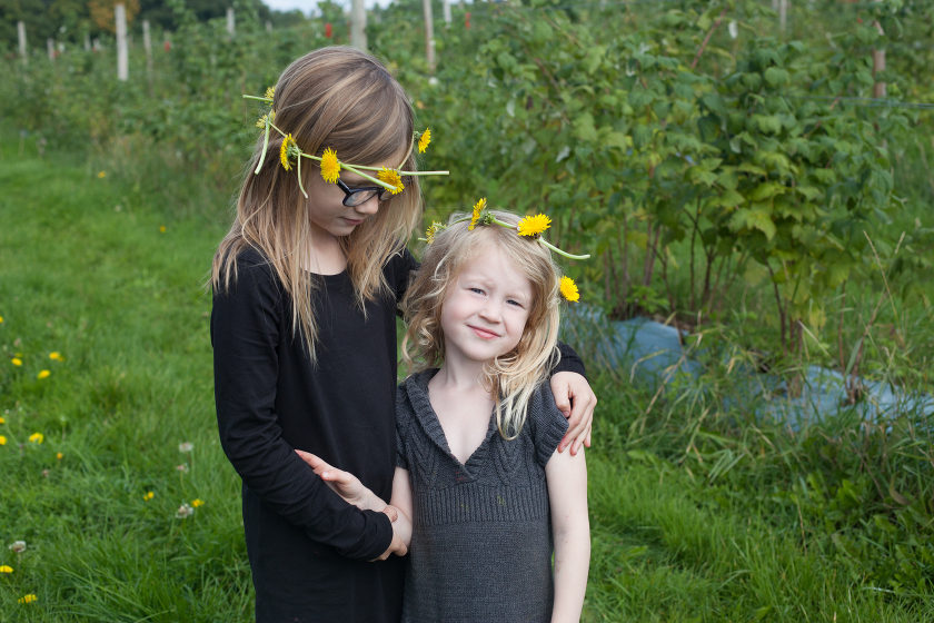 farm shop living in england