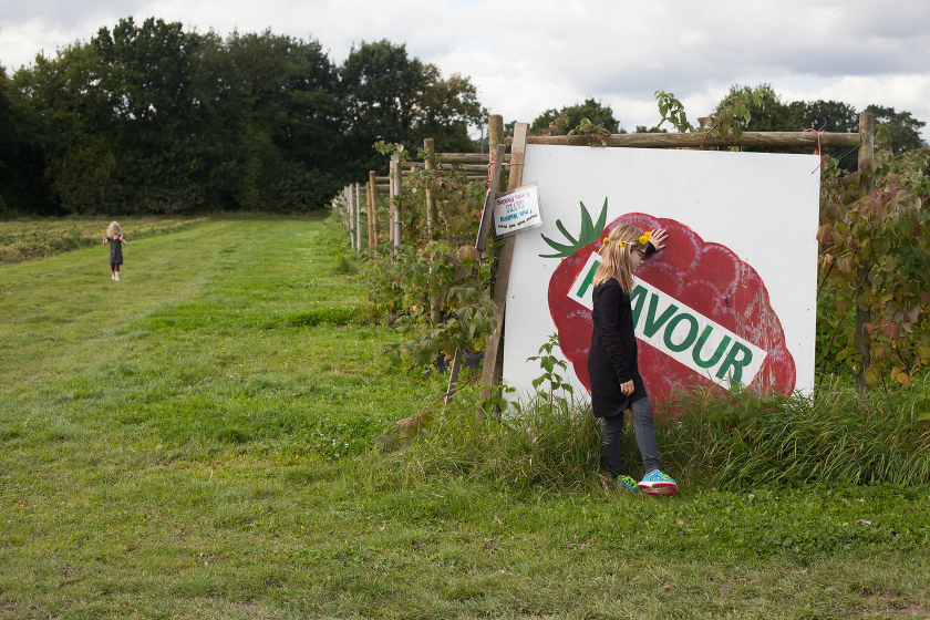 farm shop living in england