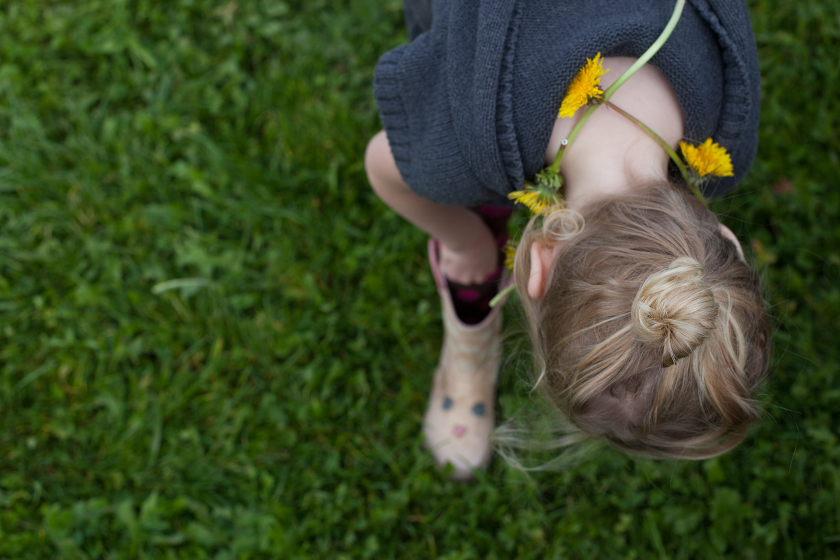 farm shop living in england