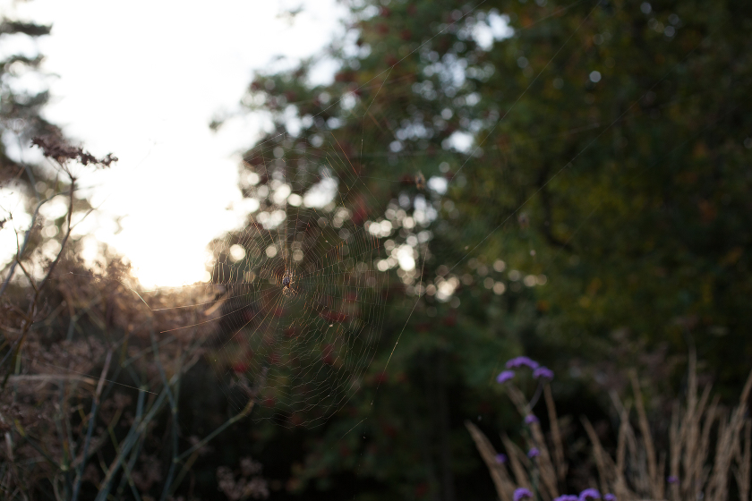 fall autumn in england traveling with kids