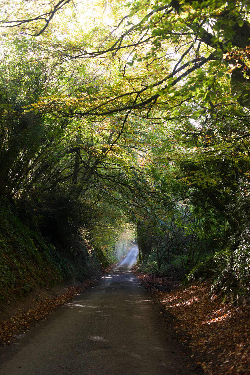 fall autumn in england traveling with kids