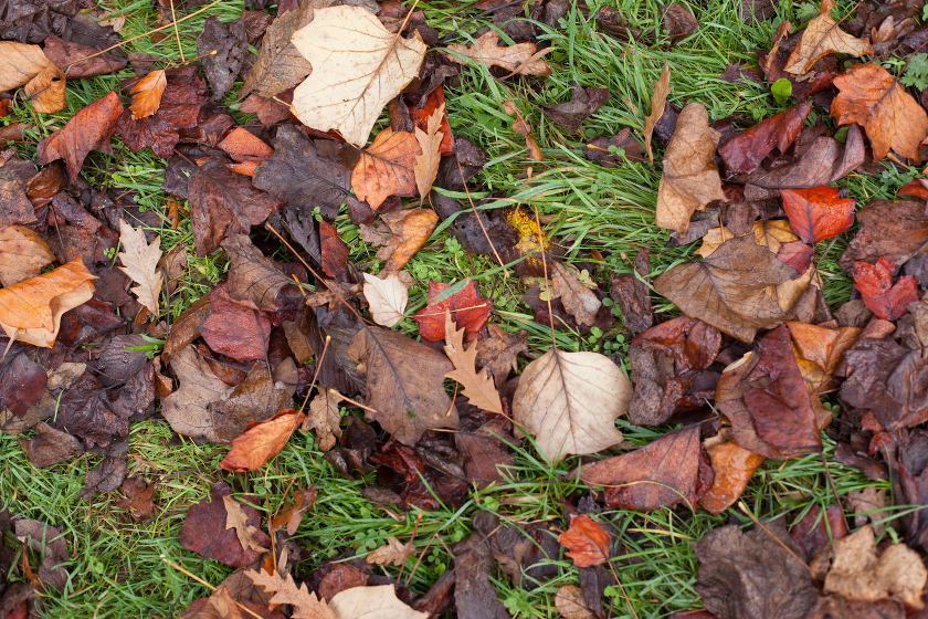 fall autumn in england traveling with kids
