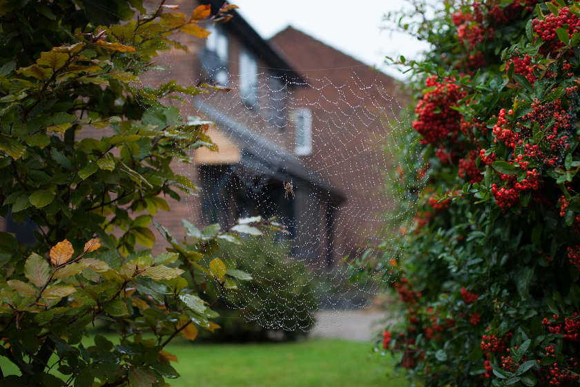 fall autumn in england traveling with kids