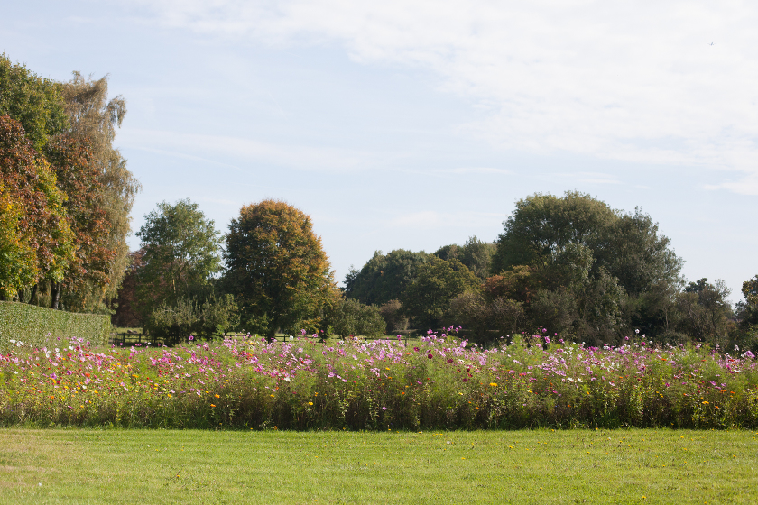fall autumn in england traveling with kids