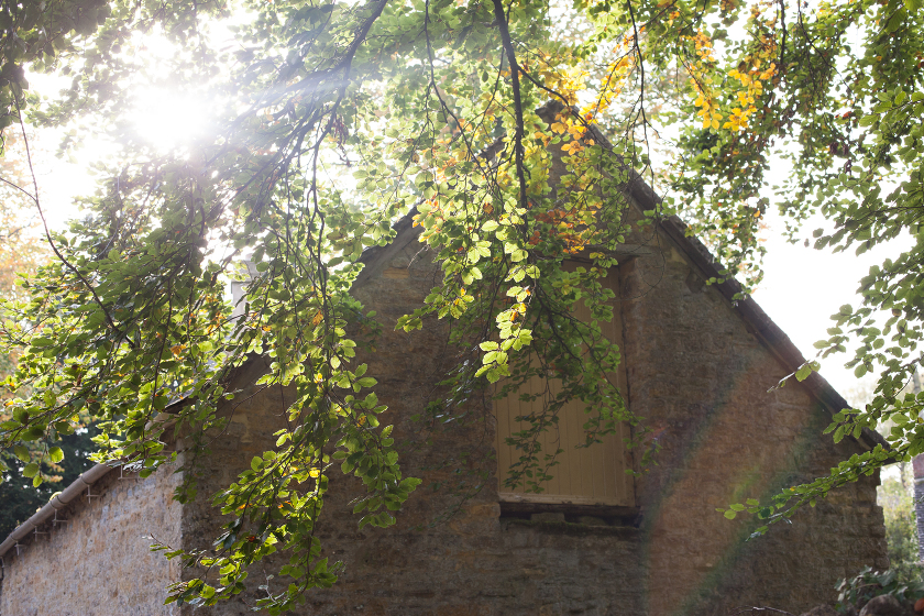 fall autumn in england traveling with kids